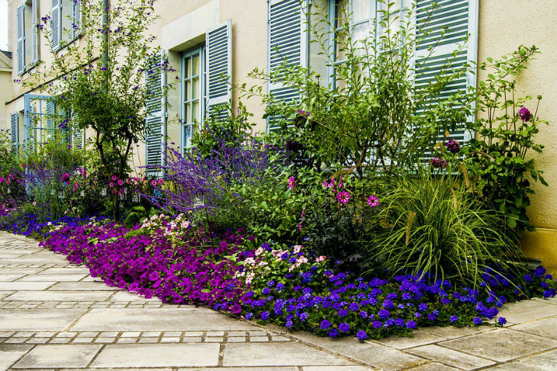 Fleurs : Silence, ça plante