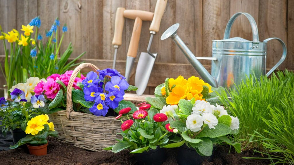 Des plantes à fleurs