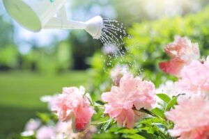 L'arrosage d'un jardin