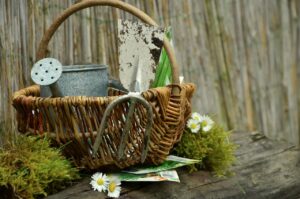 Des outils de jardinage