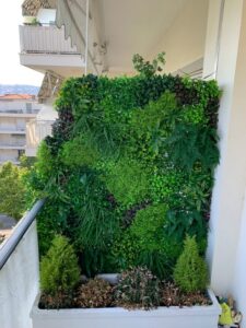mur vegetal