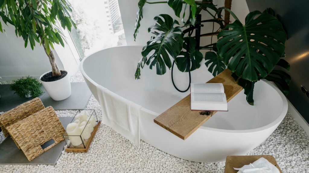 Des plantes dans une salle de bain