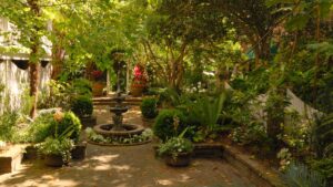 jardin ombragé