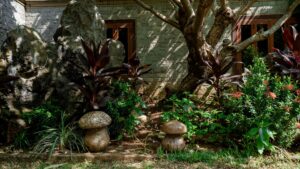 jardin ombragé