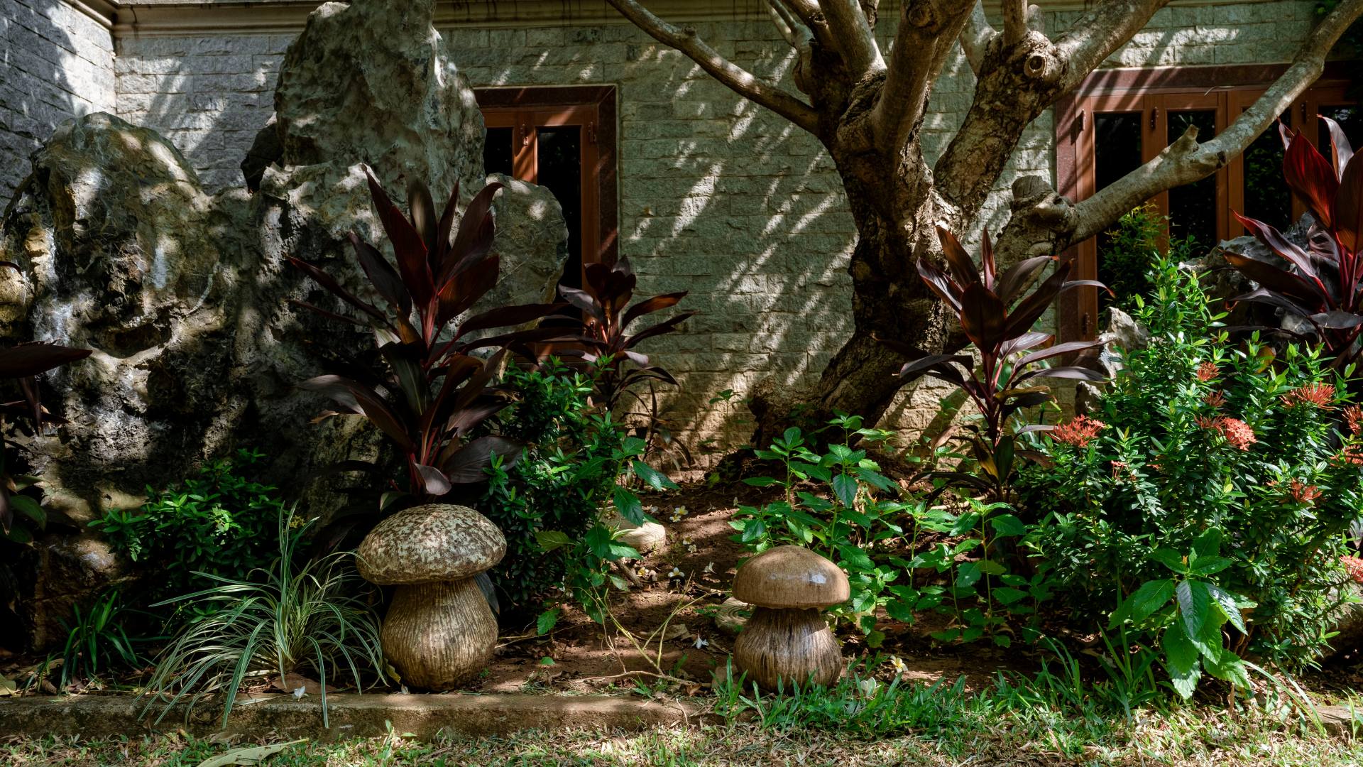 jardin ombragé