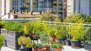 jardin urbain
