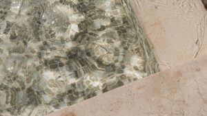 piscine naturelle