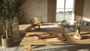 salon scandinave